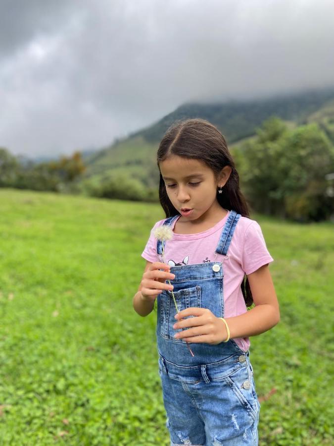 Willa Casa Roma - La Tranquilidad Del Campo En La Ciudad - Rnt 1 0 8 1 3 7- Salento Zewnętrze zdjęcie